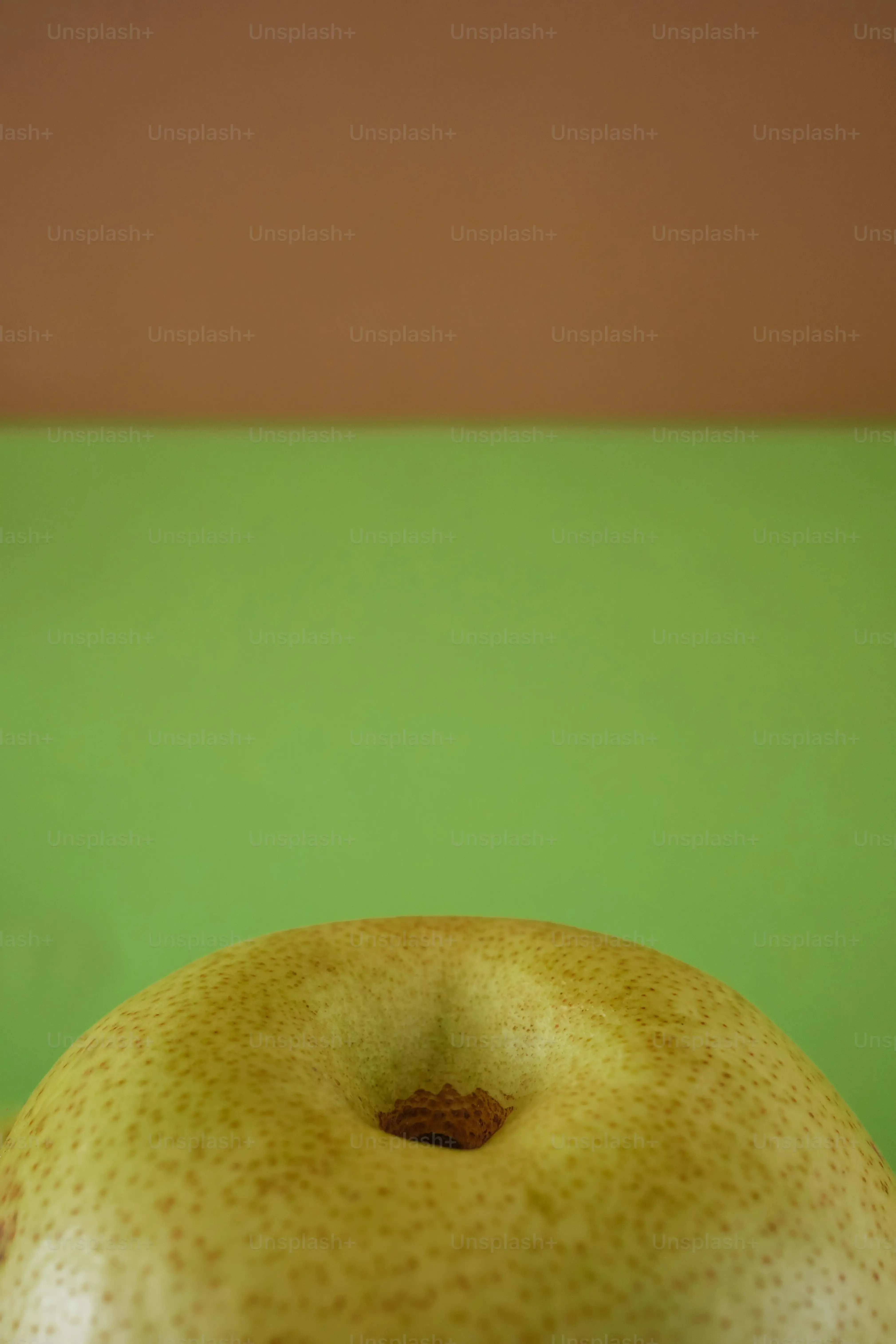 Adding the Fresh Kiwi Topping and Letting Your Cheese Cake Kiwi Set