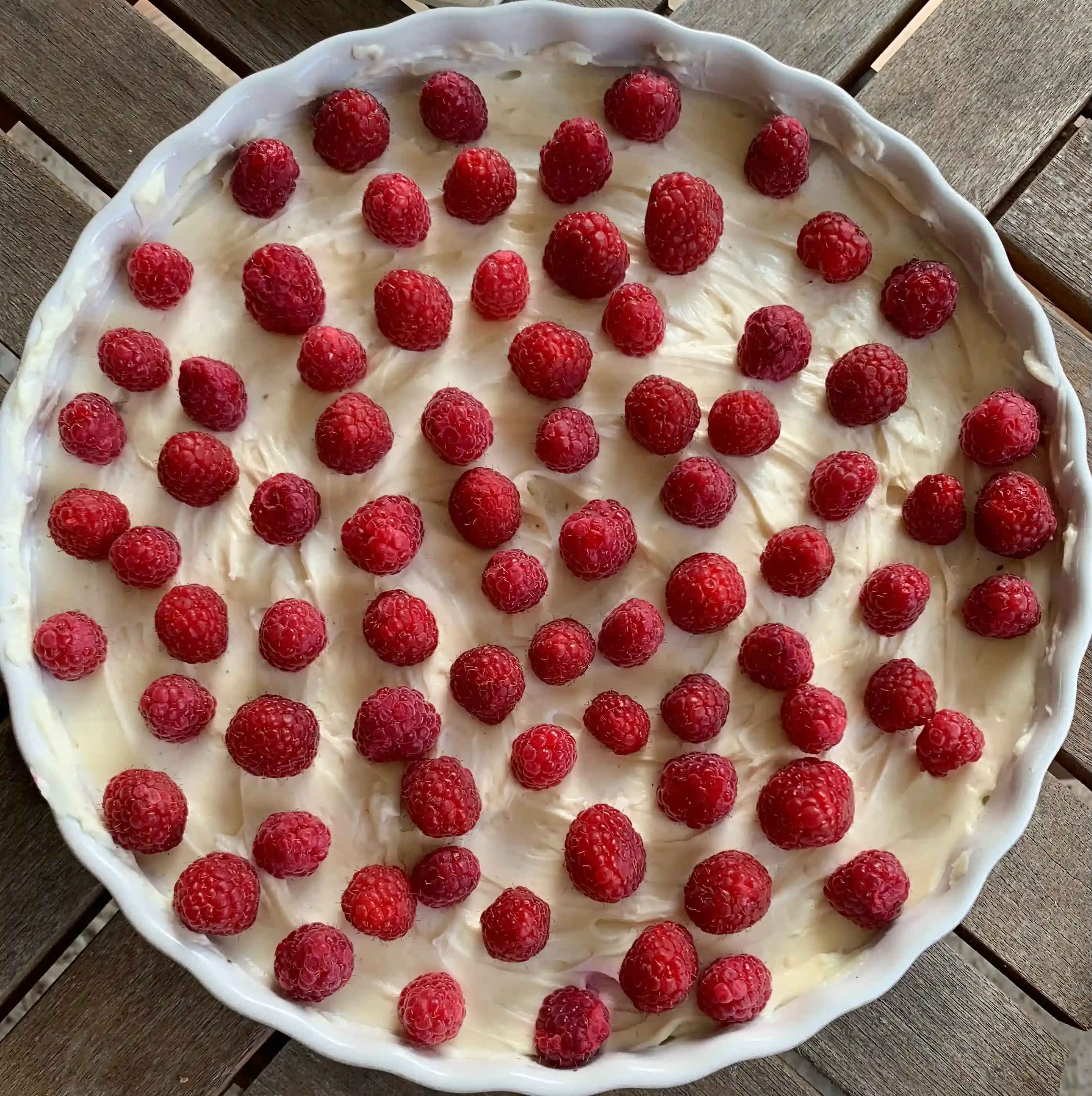 Awards and Recognition: The Cheesecake Guy's Winning Streak