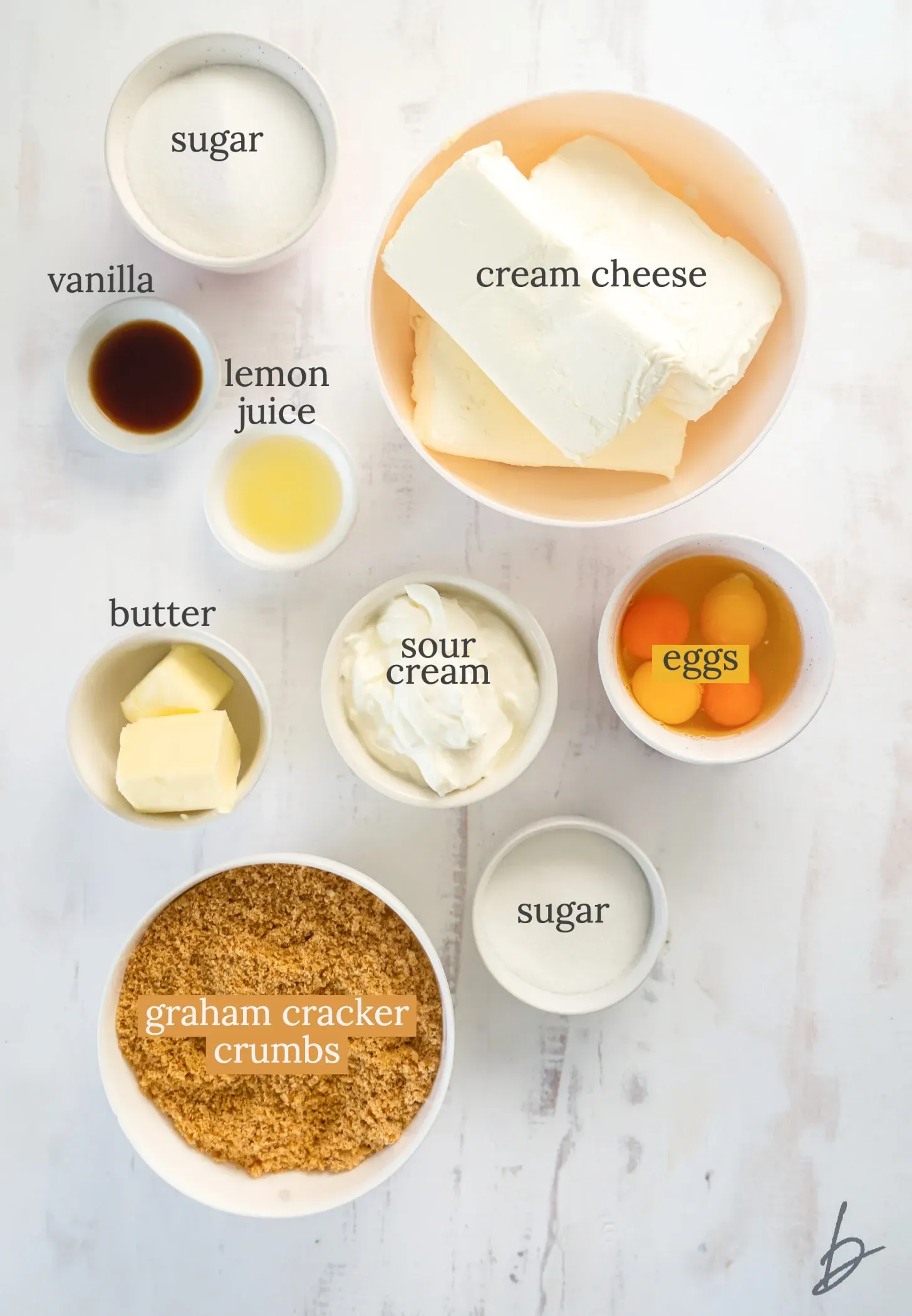 Essential cheese cake ingredient: Your guide