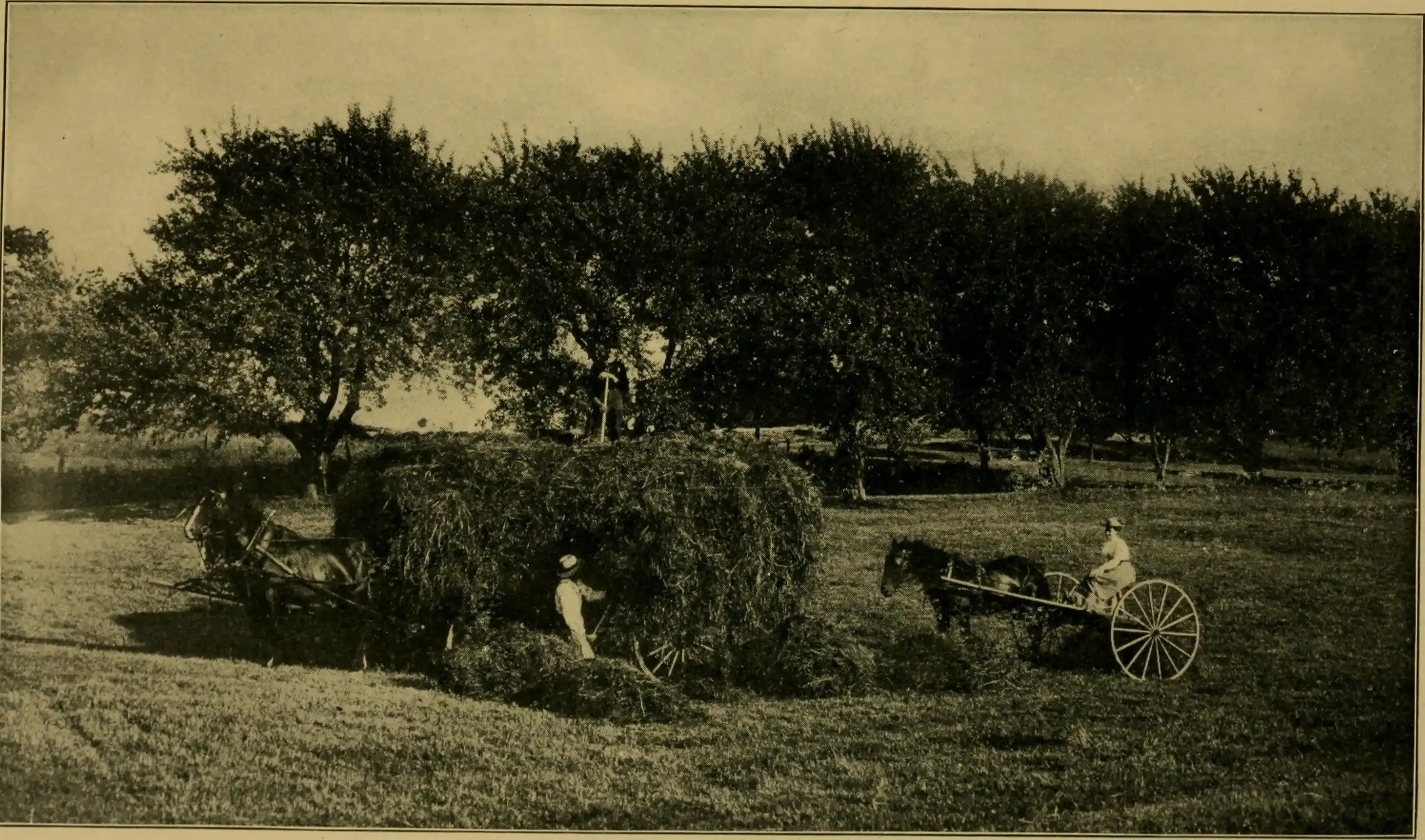 Elevating Your Jelly and Cream Cheese Dessert Recipes: Tips & Twists