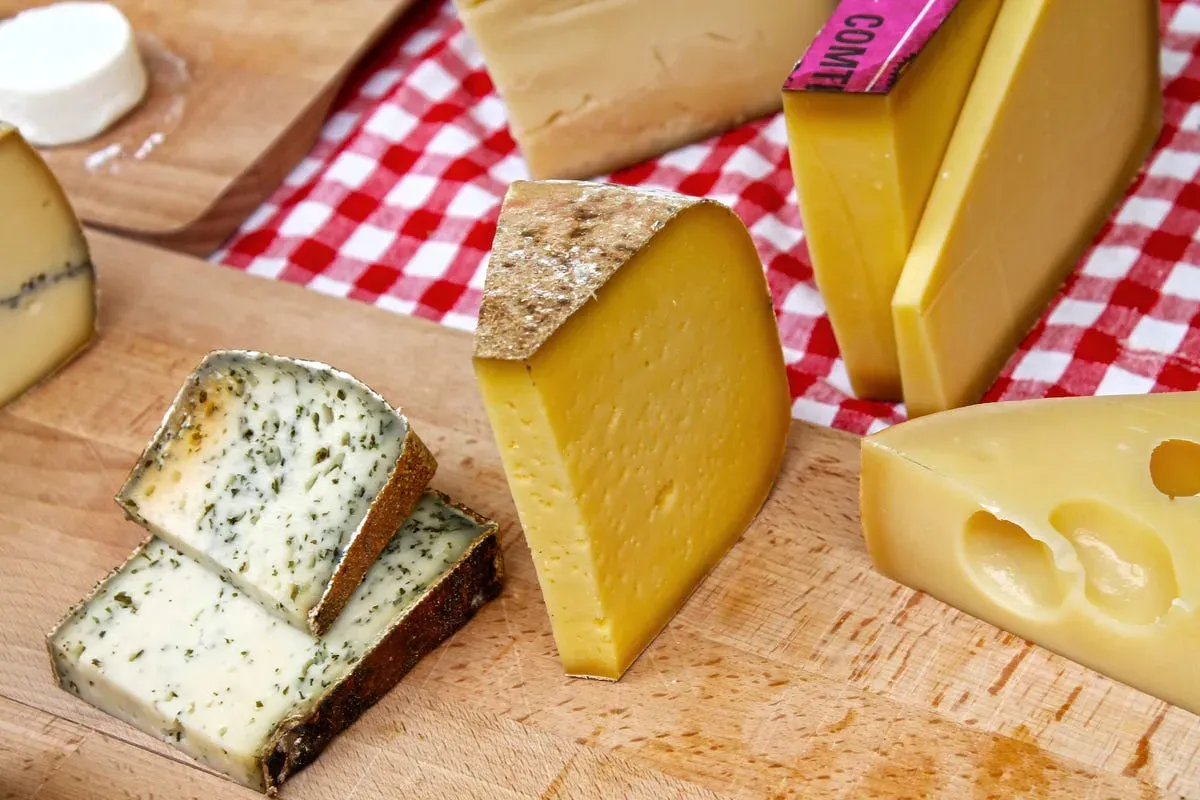 Exploring the Vast World of Cheese's