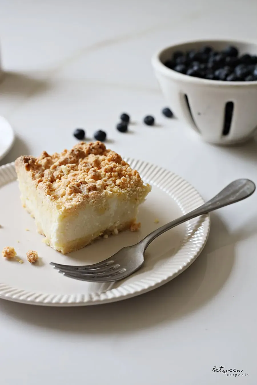 Creamy Farmers Cheese Dessert: Blueberry Cake