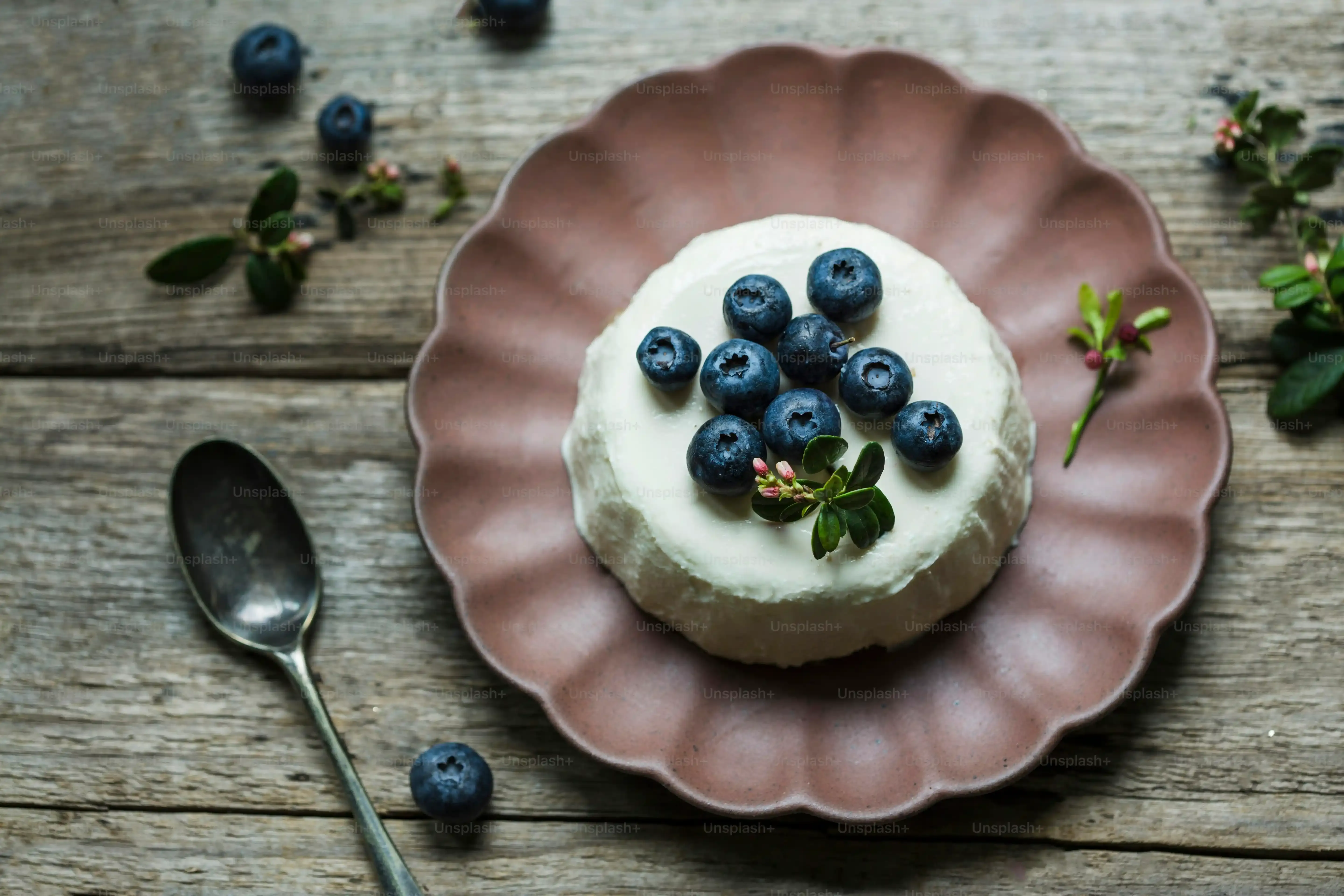 StepbyStep Guide to Your Healthy Blueberry Cream Cheese Dessert